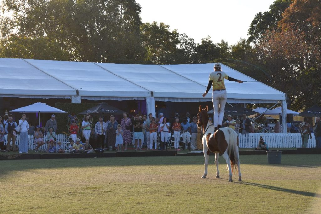 Our homeschooling adventures and activities pony demonstration. 