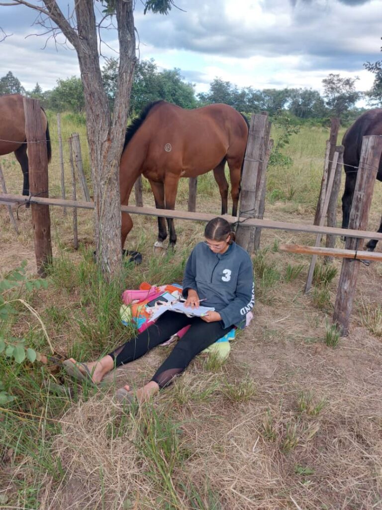 homeschooling at the horses.