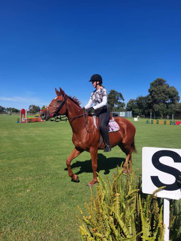 homeschooling activity horse shows.
