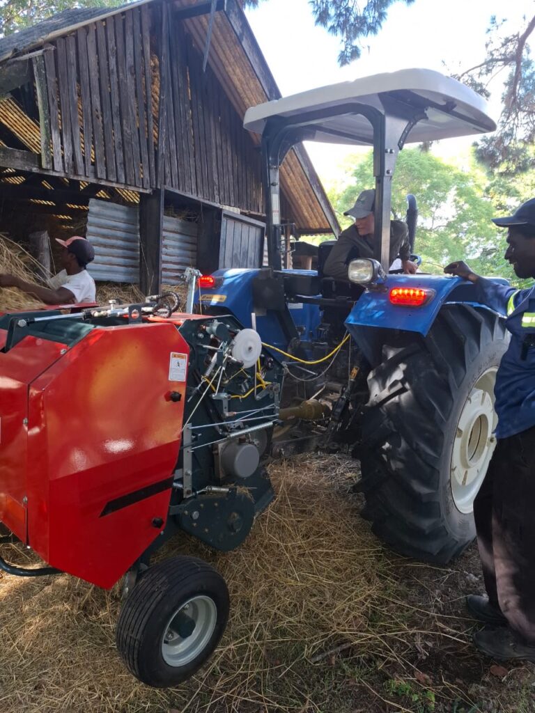 our homeschooling activity baling hay