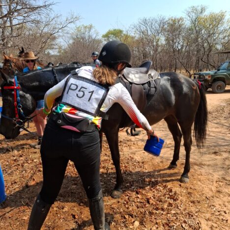 Our Homeschooling Adventures and Activities for July-August 2025.