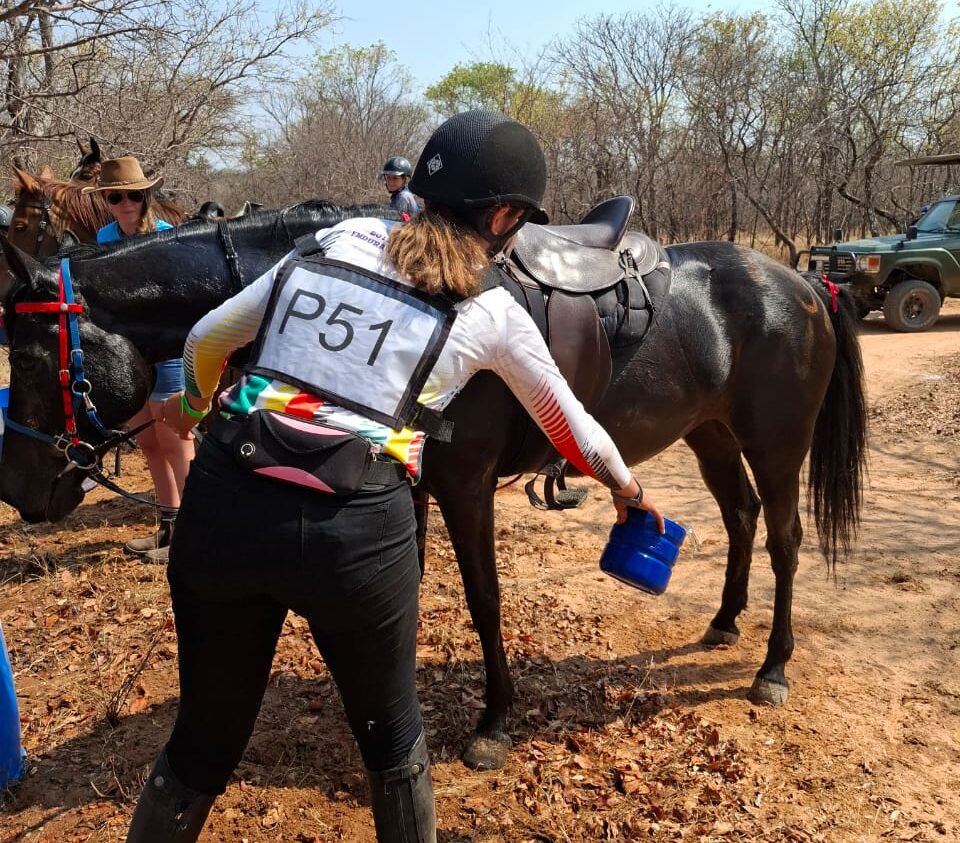 40km Endurance Ride through the Botswanan Bush.