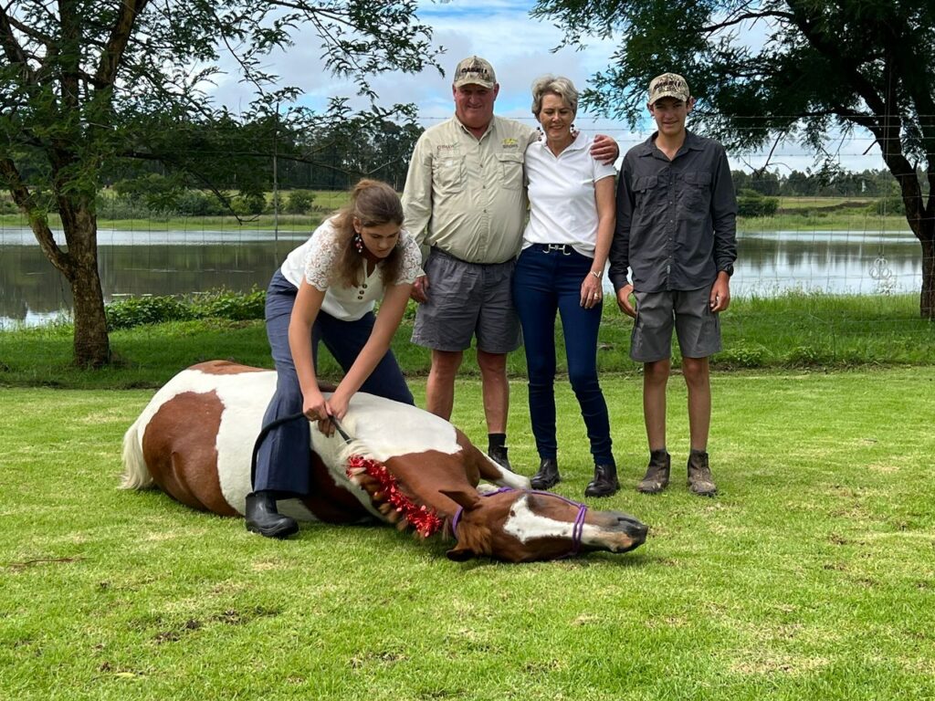 Puncho the pony lying down. 