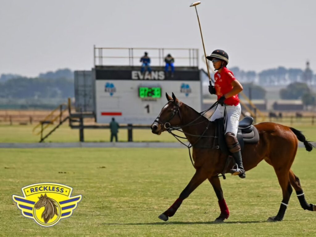 ladies polo johannesburg