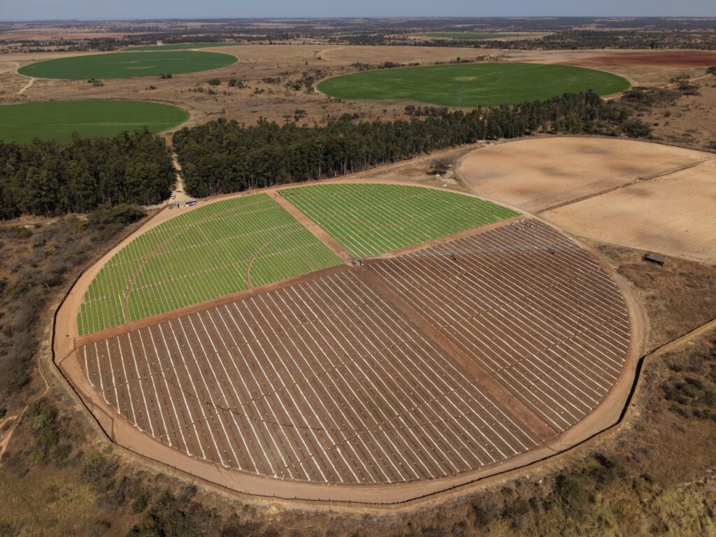 homeschooling adventure, Drone photo of tobacco seedbeds and barley